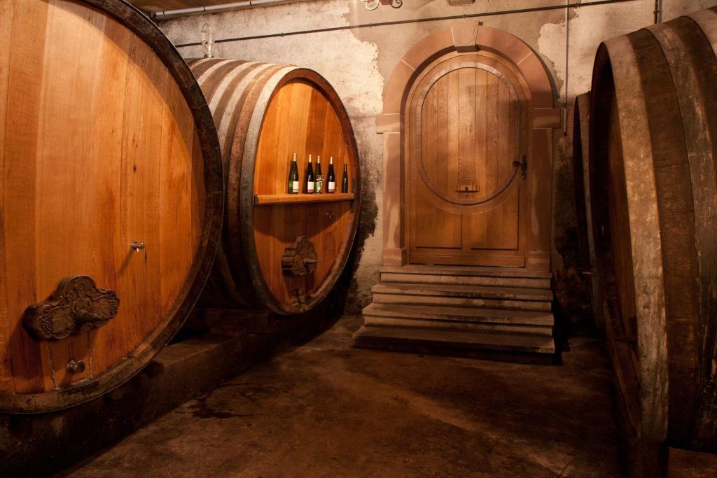 Gites Le Tokay Et Le Muscat Gertwiller Номер фото
